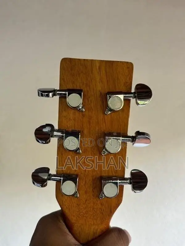Kadence Acoustica Zebra Wood (A05) Acoustic Guitar