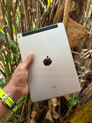 Apple iPad Air 2
