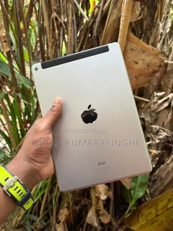 Apple iPad Air 2
