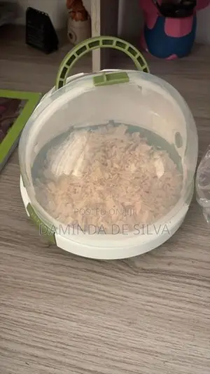 02 Syrian Hamsters with cage