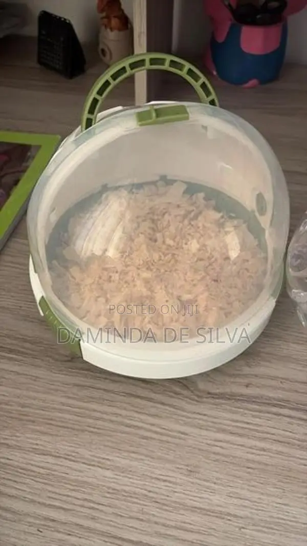 02 Syrian Hamsters with cage