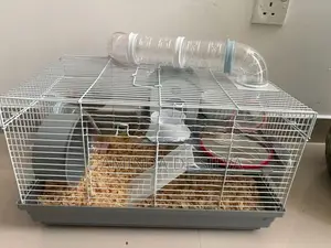 02 Syrian Hamsters with cage