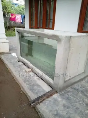 Fish Tank