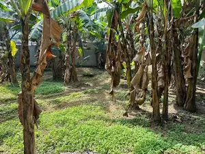 Ragama Bare Land for Rent