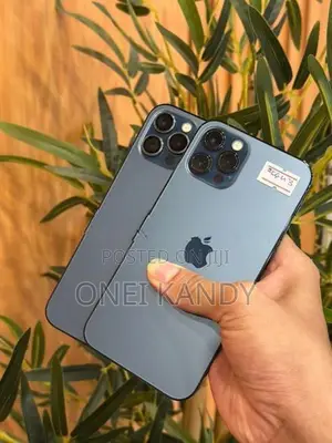 Apple iPhone 12 Pro 256GB (Used)