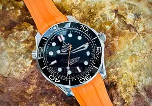 Omega Seamaster Professional Casual Sport Mens Watch