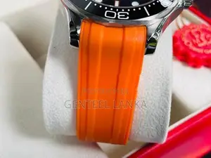 Omega Seamaster Professional Casual Sport Mens Watch