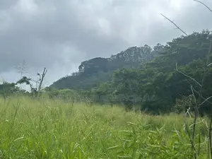 Lands for Sale in Pussellawa
