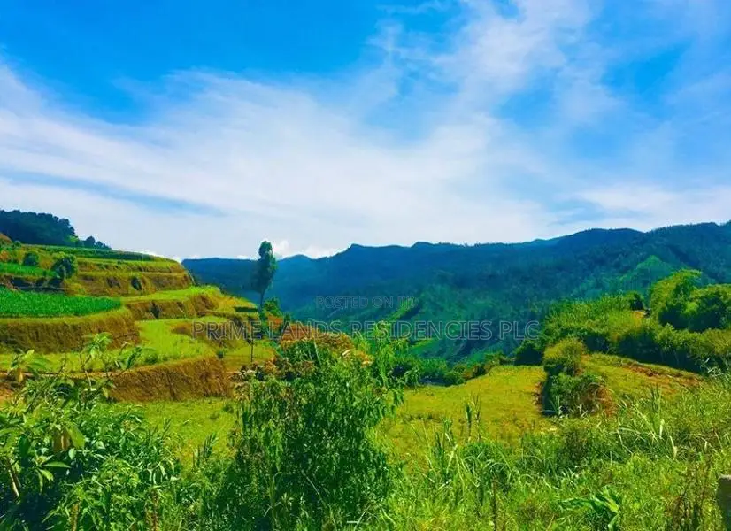 Lands for Sale in Ambewela