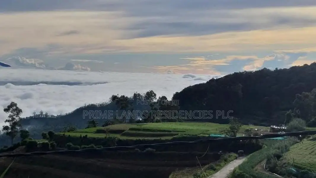 Lands for Sale in Ambewela