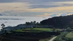 Lands for Sale in Ambewela