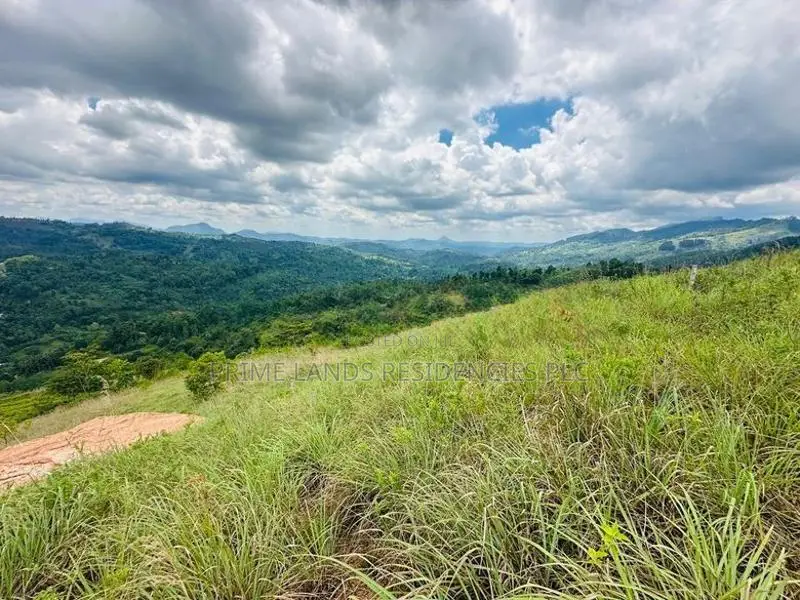 Lands for Sale in Nillamba