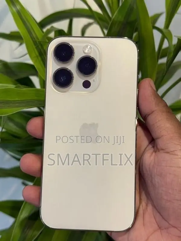 Apple iPhone 14 Pro (Used)