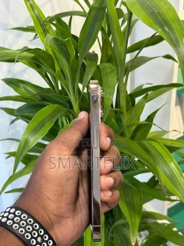 Apple iPhone 14 Pro (Used)