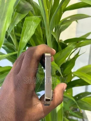 Apple iPhone 14 Pro (Used)