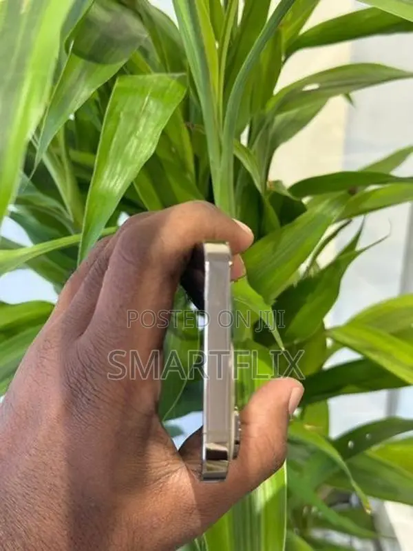 Apple iPhone 14 Pro (Used)
