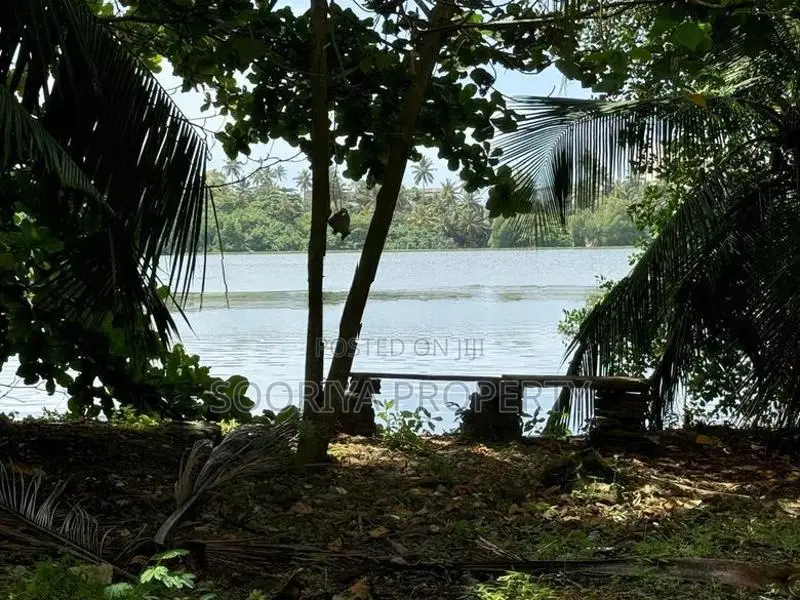 Bolgoda Lake Facing Land for Sale in Moratuwa Town