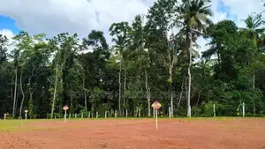 Land Sale Divulapitiya