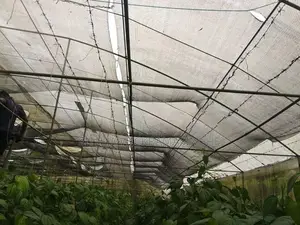 Green House