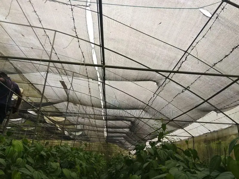 Green House