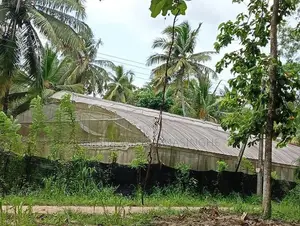 Green House
