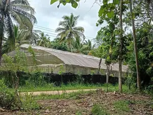 Green House