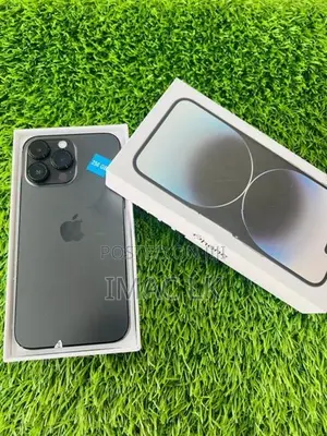 Apple iPhone 14 Pro Max 256GB (Used)