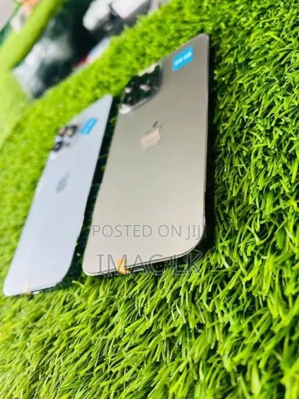 Apple iPhone 13 Pro Max 256GB (Used)