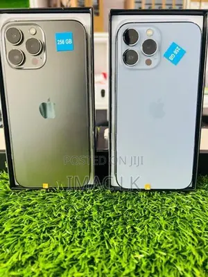 Apple iPhone 13 Pro Max 256GB (Used)
