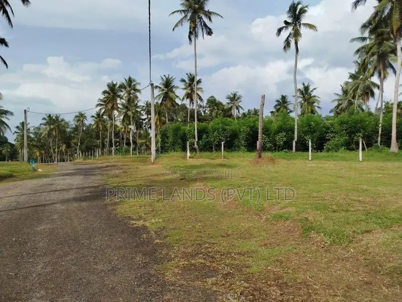 Land for Sale Diulapitiya