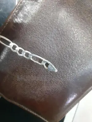 Silver Chain