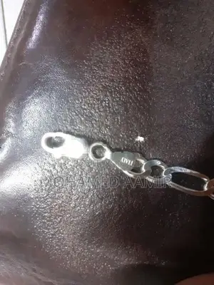 Silver Chain