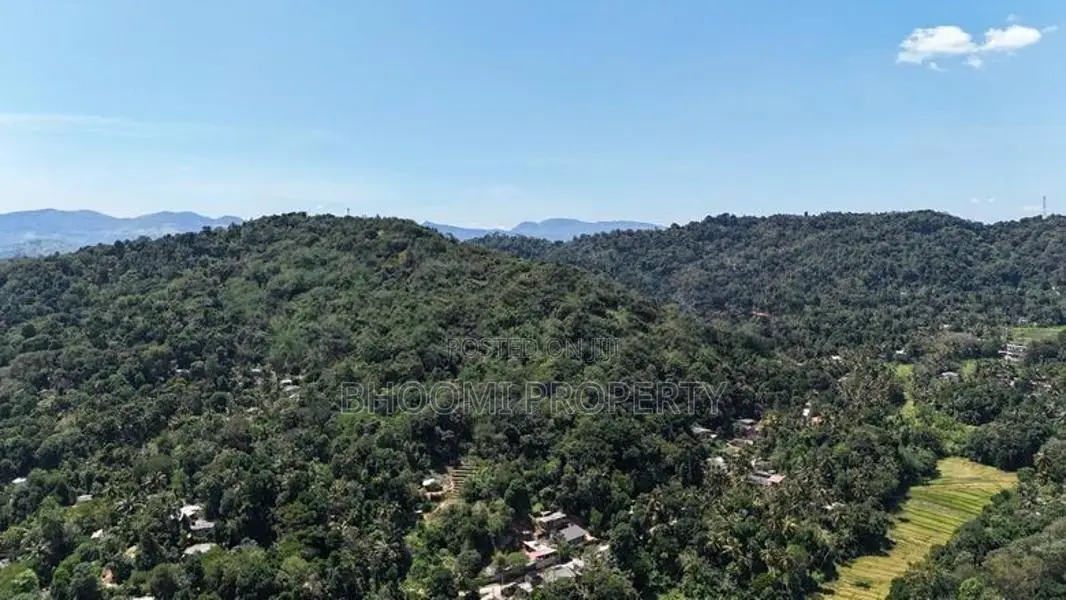 Land for Sale in Digana
