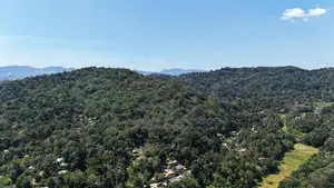 Land for Sale in Digana