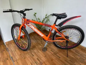 Tomahawk Bicycle