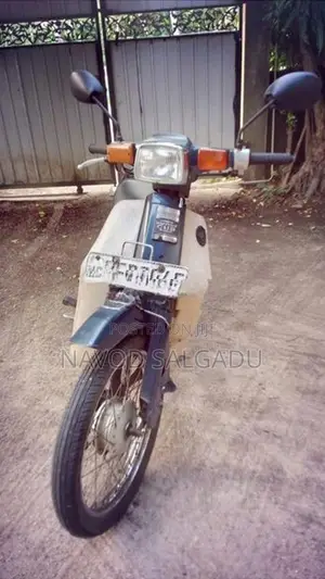 Ranomoto Super Cub 2017