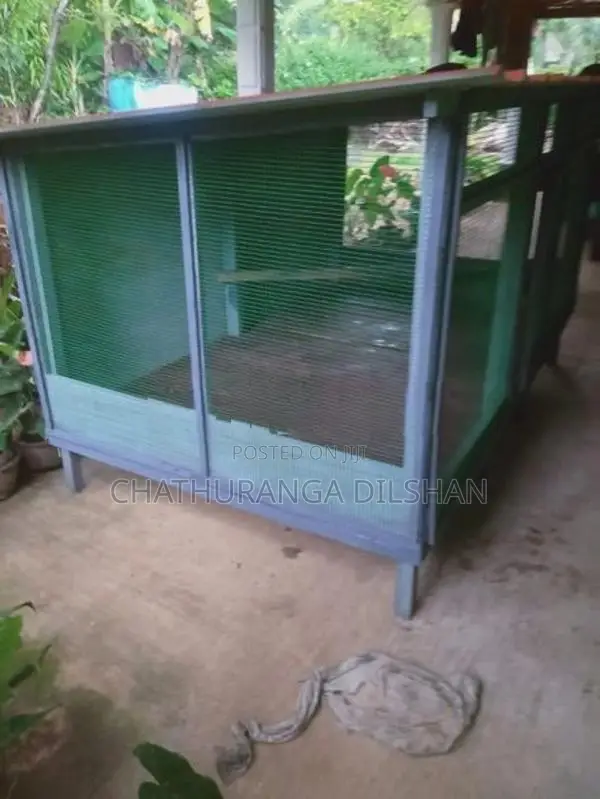 Bird Cage