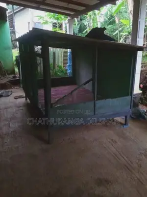 Bird Cage