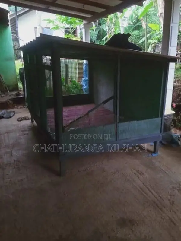 Bird Cage