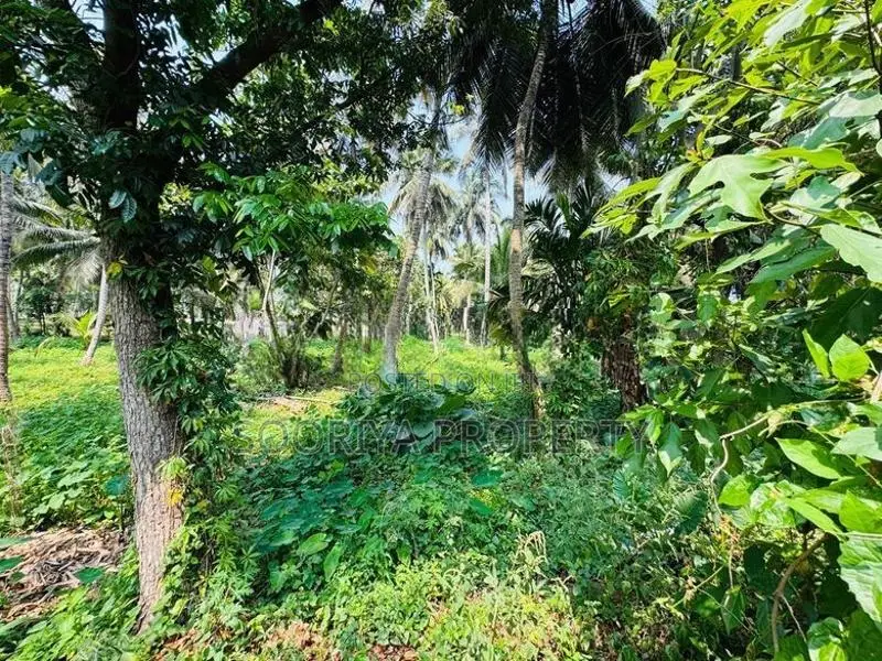 Commercial Land for Sale in Piliyandala