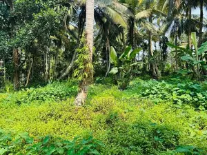 Commercial Land for Sale in Piliyandala
