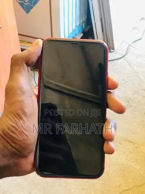 Apple iPhone 11 (Used)