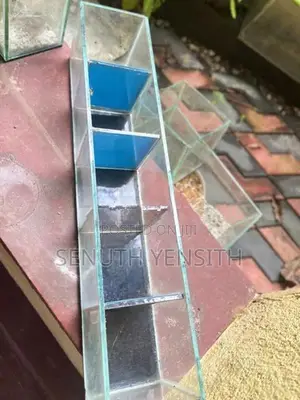 Fish Tank