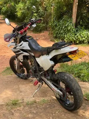 Kawasaki D Tracker 2010