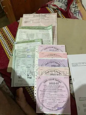 Kawasaki D Tracker 2010