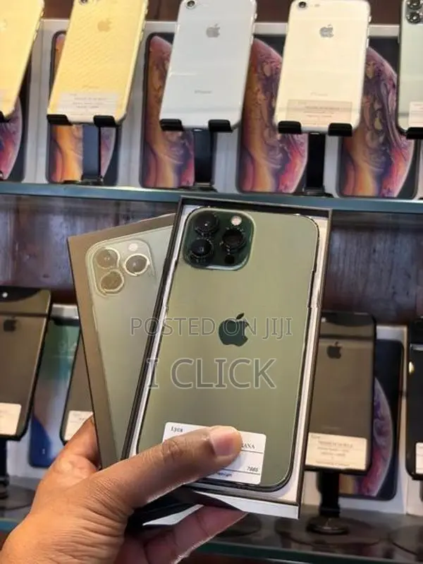 Apple iPhone 13 Pro Max 256GB (Used)