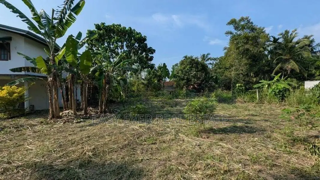 වේයන්ගොඩ , මොට්ටුන්න බිම් කොටසක්
