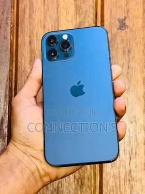 Apple iPhone 12 Pro Max (Used)