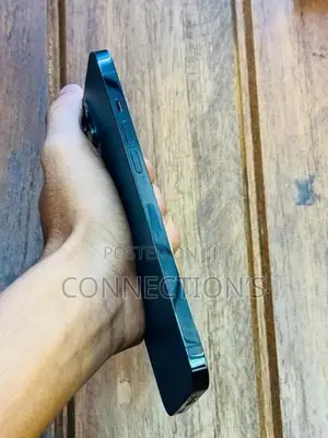 Apple iPhone 12 Pro Max (Used)