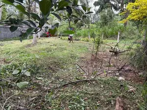 ගම්පහ කිරිදිවැලින් වටිනා ඉඩමක්